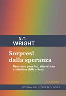 Sorpresi dalla speranza (Brossura)