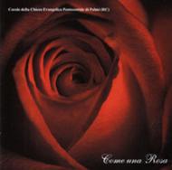 Come una rosa