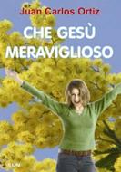 Che Gesù meraviglioso (Brossura)
