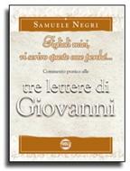 Figlioli miei, vi scrivo queste cose perché...: Commentario pratico alle tre lettere di Giovanni (Brossura)