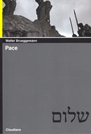 Pace (Brossura)