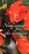 Non sapevo che esistesse - 100 Opuscoli (Pieghevole)