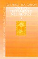 L'Antico Testamento nel Nuovo vol. 3 (Copertina rigida)