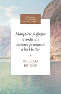 Mângâiere și sfințire izvorâte din lucrarea preoțească a lui Hristos