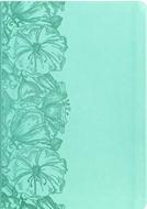 CSB Large Print Thinline Bible