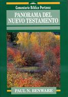 Panorama del Nuevo Testamento (Rústica) [Libro]