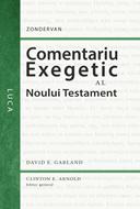 Comentariu exegetic al Noului Testament. Luca