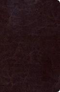 RVR60 Biblia de Estudio Scofield Tamaño Personal (Imitación Piel) [Biblia de Estudio]