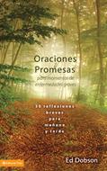 Oraciones y Promesas para Momentos de Enfermedades Graves (Tapa Dura) [Libro]