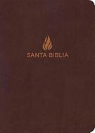 Biblia RVR60 Compacta Letra Grande (Imitación Piel) [Biblia]
