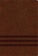 NVI Biblia de Estudio Teología Bíblica con Índice (Imitación Piel) [Biblia de Estudio]