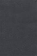 RVR 1960 Biblia de Estudio Letra Gigante (Símil piel, Negro)