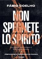 Non spegnete lo Spirito (Brossura)