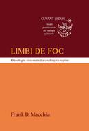 Limbi de foc. O teologie sistematică a credinței creștine