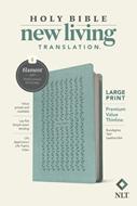 Angol Biblia New Living Translation (NLT) Large Print Premium Gift Bible, Filament Edition, Eucalyptus Teal (Imitation Leather)
