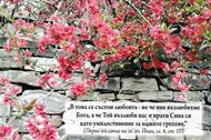 Еднолистна картичка със стих - 1 Йоан 4:10 [Подаръци/Сувенири]