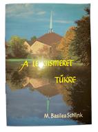 A lelkiismeret tükre (Puhatáblás papírkötés) [Antikvár könyv]