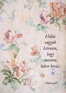Hálanapló, Mertem bátor lenni (vintage rózsák) (Keménytáblás)