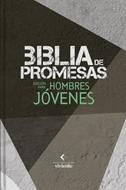 Biblia NTV Edicion Promesas/ Hombres Jovenes Negro-Gris TD (Tapa dura) [Biblia Devocional]