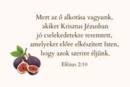 Igés kártya Efézus 2:10 (füge)