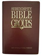 Serendipity Bible for Groups (Keménytáblás) [Antikvár könyv]