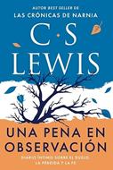 Una pena en observación (Rústica)
