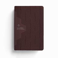 RVR 1960 Biblia Promesas Letra Grande (Piel especial con Zíper, Moderno Marrón)