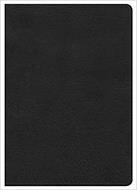 Biblia Letra Grande Negra Ingles (Símil Piel) [Biblia]