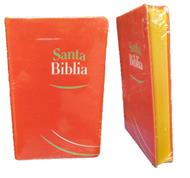 Biblia RVR 65E Tipo Agenda (Tipo Tela)