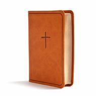 Biblia KJV/On-the-Go Bible/Ingles (Símil Piel)