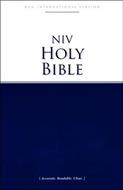 Biblia NIV/Ingles (Rústica)