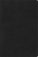 Biblia De Estudio/RVR60/Arcoiris/Negro/Semil-Piel/Nueva (Símil Piel)