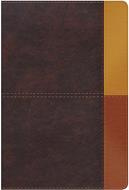 Biblia De Estudio/RVR60/Arcoiris/Cocoa-Terracota/Semil-Piel/Nueva (Símil Piel) [Biblia de Estudio]