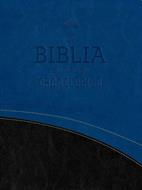 Biblia En Orden Cronológico RVR60/ Azul Imitación Piel (Símil Piel)