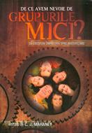 De ce avem nevoie de grupurile mici?
