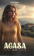 Acasa: Iertare - roman crestin (brosata)