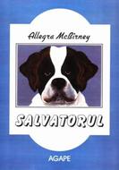 Salvatorul (Paperback)