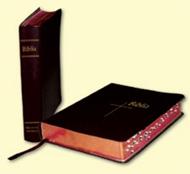 Biblia de Studiu Thompson - Ediţia Filadelfia (LE)