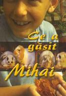 Ce a găsit Mihai (sc)