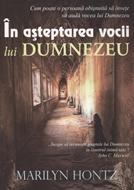În aşteptarea vocii lui Dumnezeu