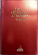 Biblia De Estudio (Imitación Piel (Vinilo)) [Biblia]