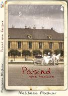Pasind spre fericire