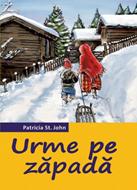Urme pe zapada