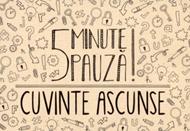 5 Minute pauza - cuvinte ascunse