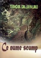 Ce nume scump - Poezii crestine