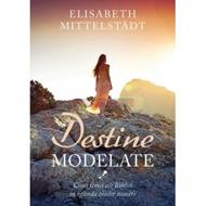 Destine modelate. Cinci femei ale Bibliei în oglinda zilelor noastre