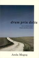 Drum prin doliu