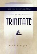 Care este invatatura Bibliei despre Trinitate