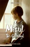 Micul Sir Galahad