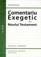 Comentariu exegetic al Noului Testament. Matei